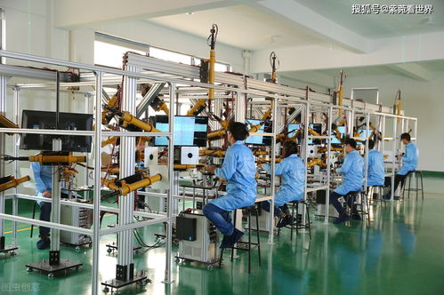 41歲母親再婚生子，壓榨大兒子引發(fā)社會爭議